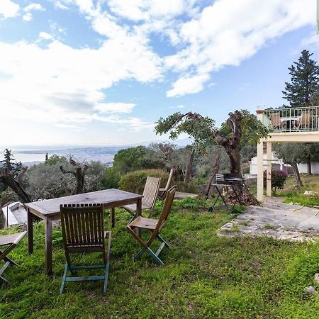 Nissa Vinaigrier Villa Nice Bagian luar foto