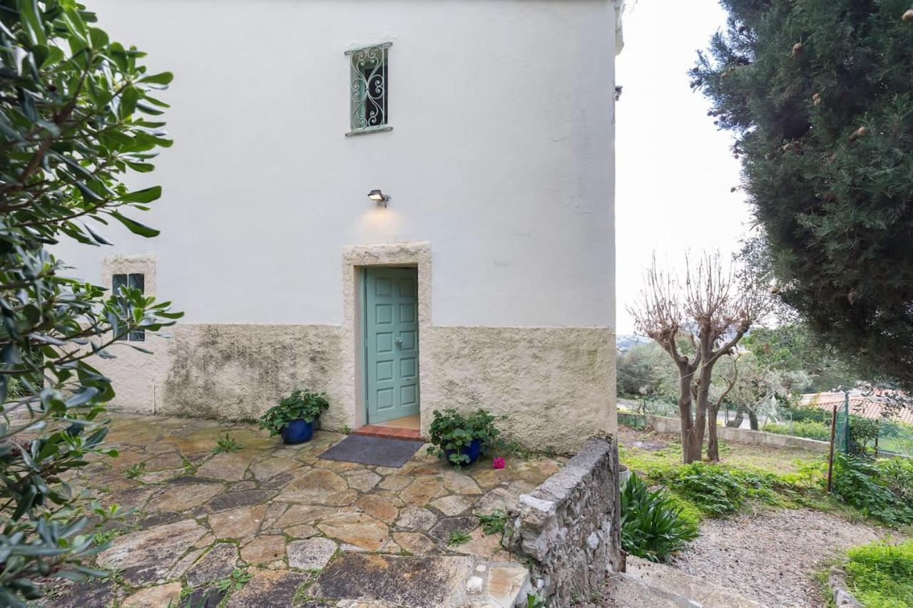 Nissa Vinaigrier Villa Nice Bagian luar foto