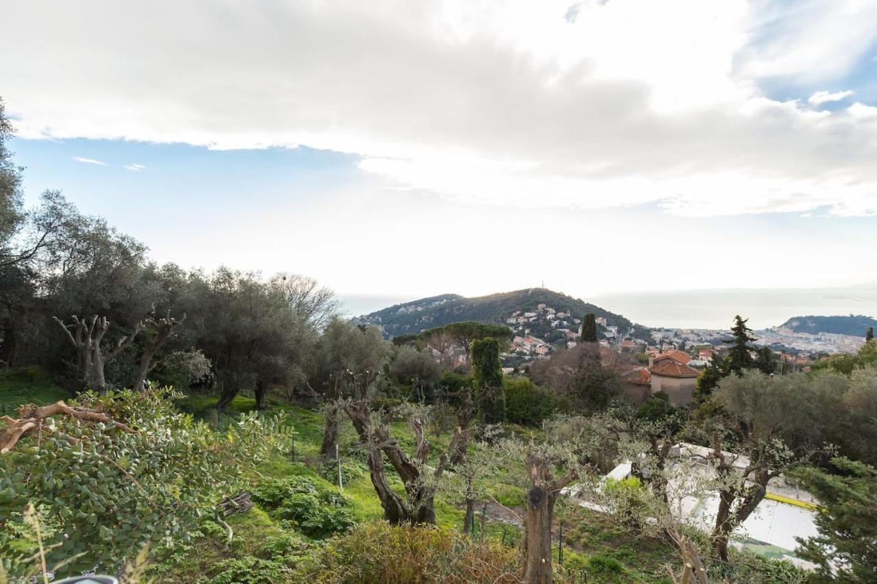 Nissa Vinaigrier Villa Nice Bagian luar foto